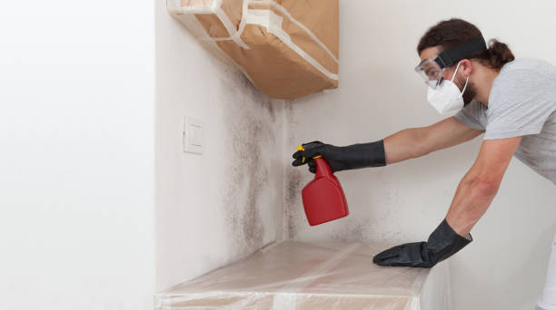 Attic Mold Remediation treatment on roof deck in Greenbush